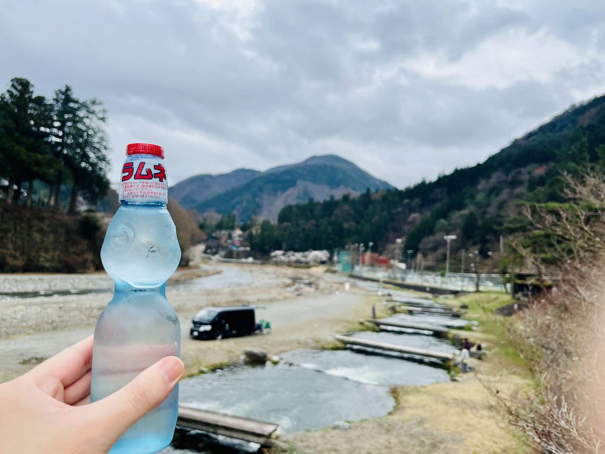 ろ〜ち🐝🦋秘封蓮花蝶【虹-18】 tweet media