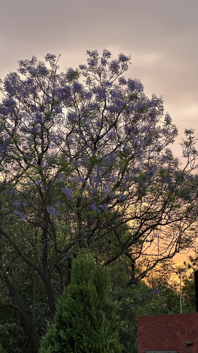 🧃Aästha. tweet media