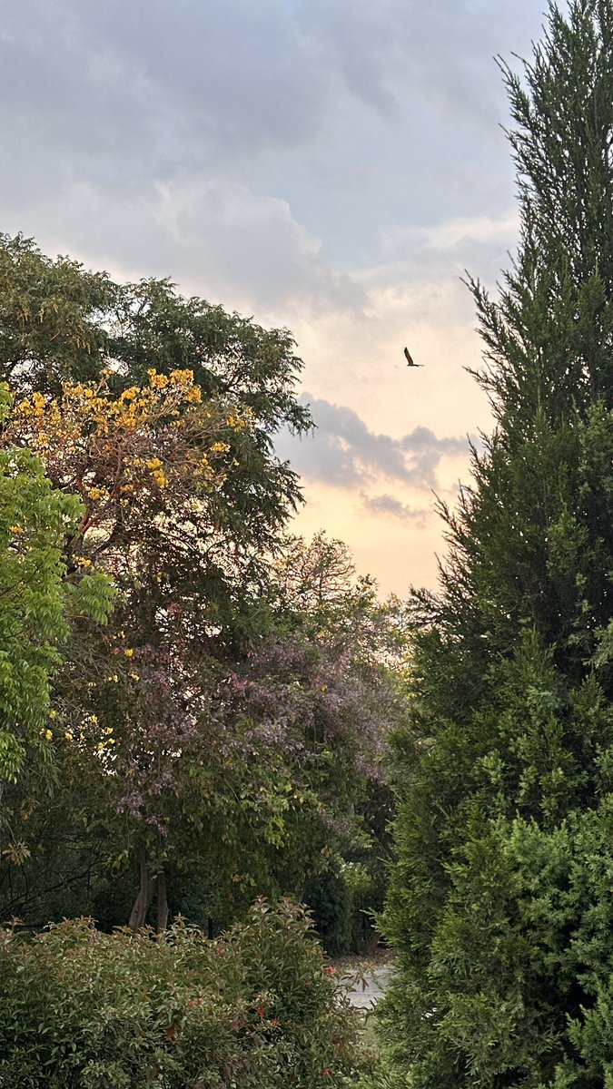 🧃Aästha. tweet media