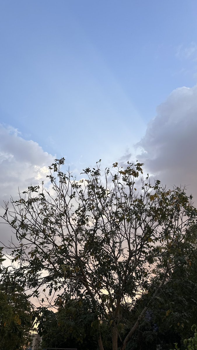 🧃Aästha. tweet media