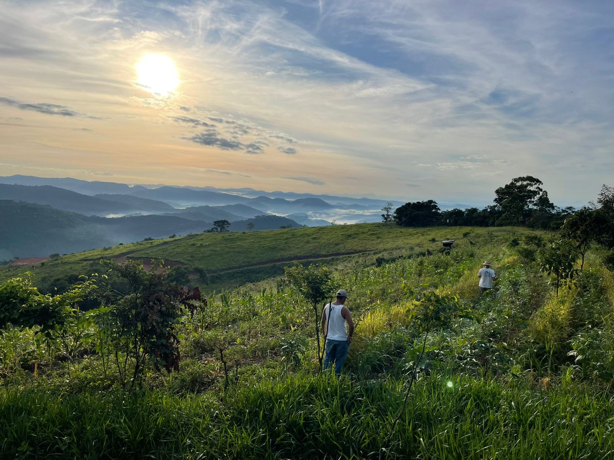 AgroforestDAO tweet media