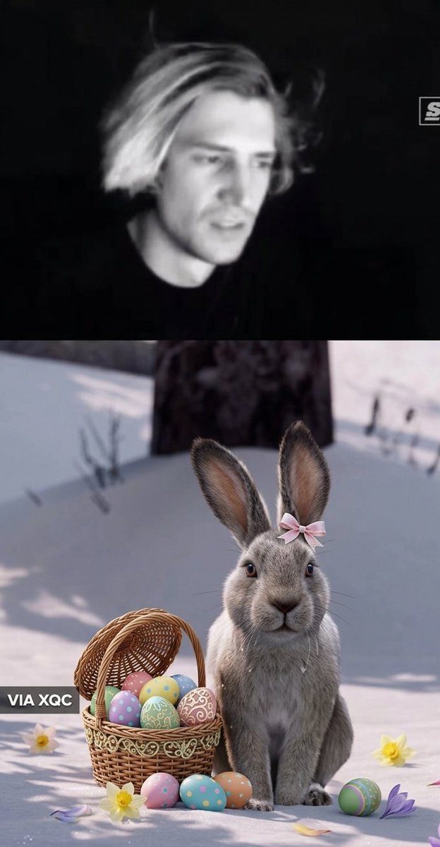 xQc Updates tweet media