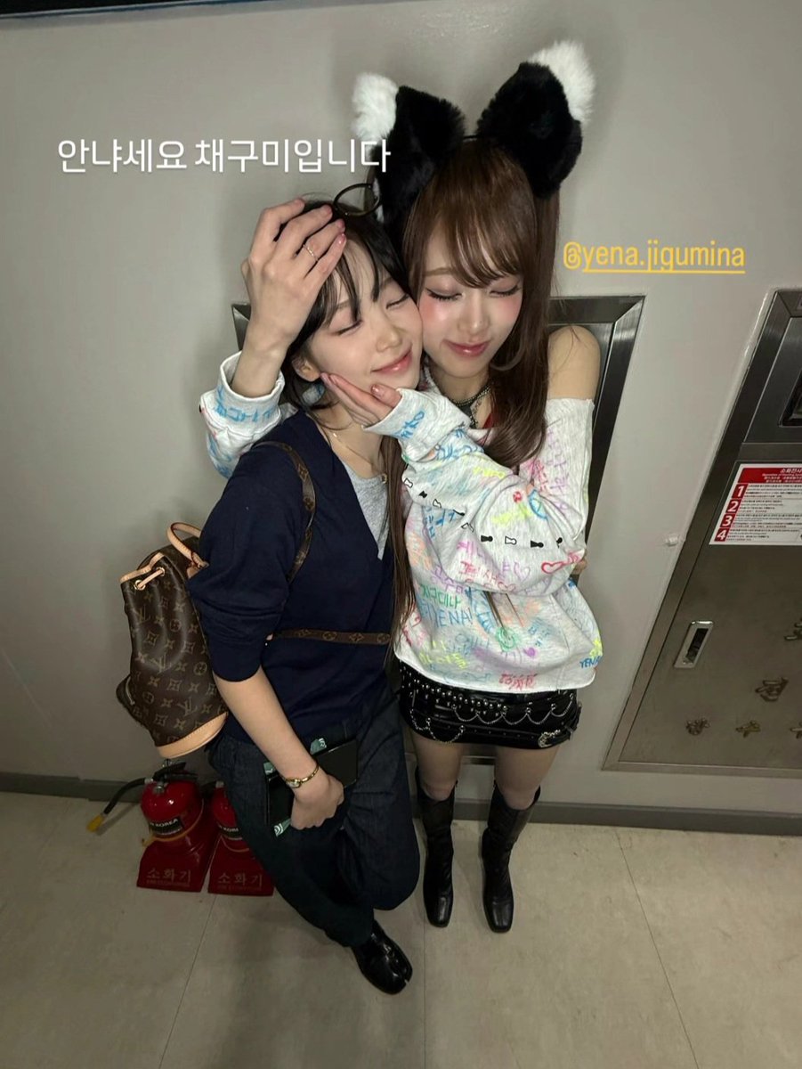 지오🍝 tweet media