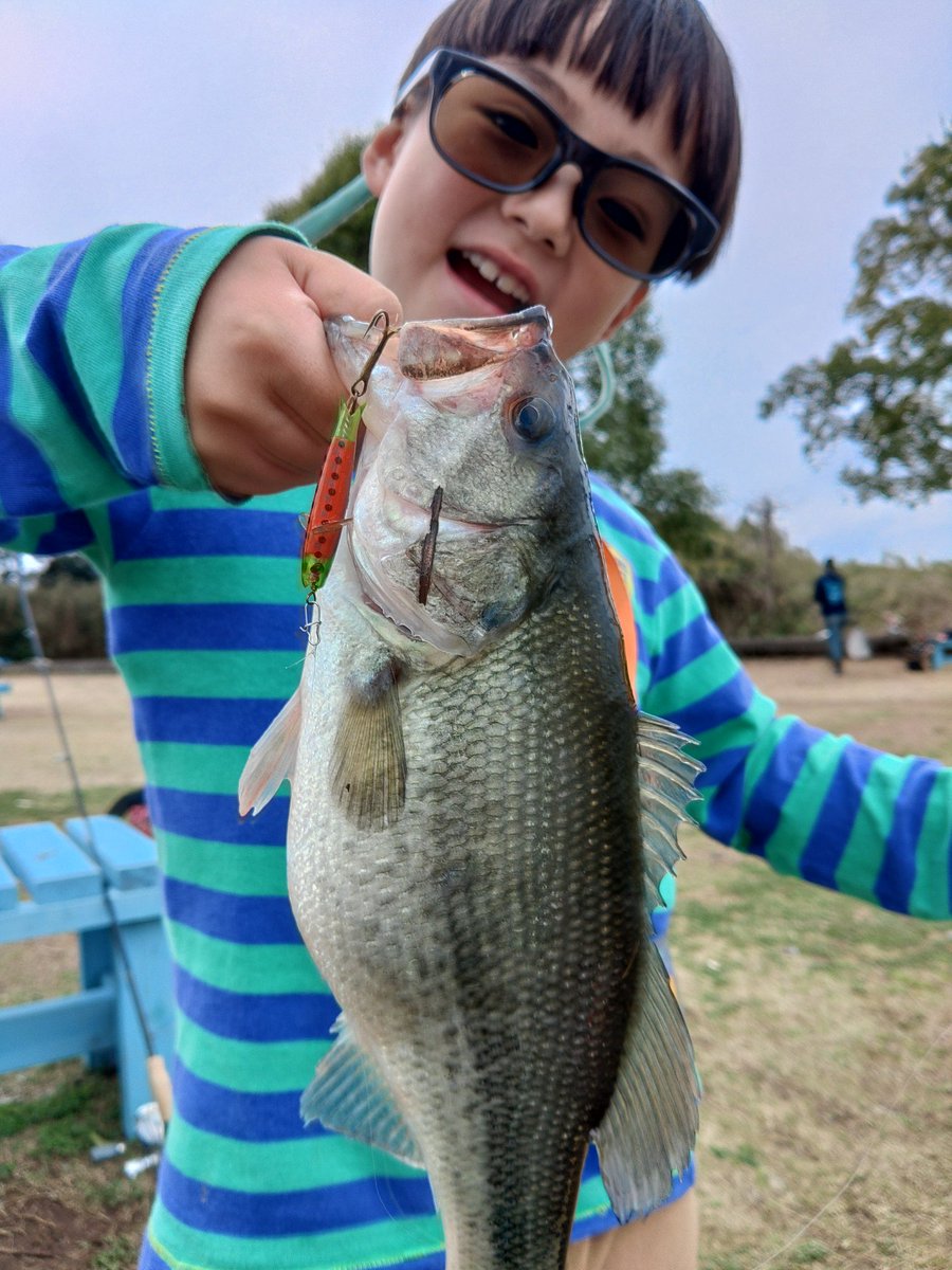 stumpmaster6001h tweet media