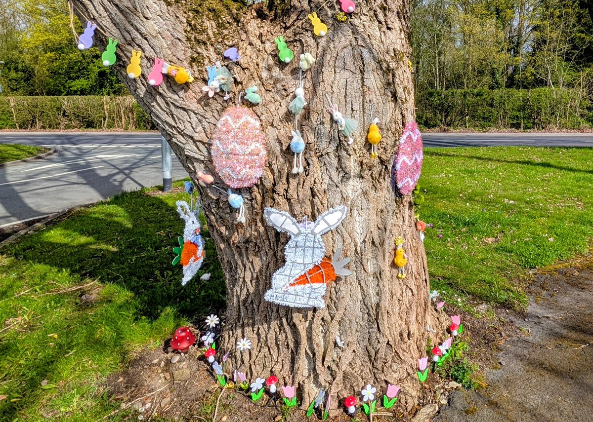 JReynard66304's tweet image. Happy Easter from Alannah-Rose who is enjoying her book "Celeste" the Giraffe 🦒 Lottie who has played with her giraffe toy &amp;amp; wants more of her Doggy Easter Egg 🐩🥚 #Abram #EasterBlessings #EasterDecorations #EasterSunday ⛪✝️🐰🐣🌷 @KinlochSusan @ruths_gallery @