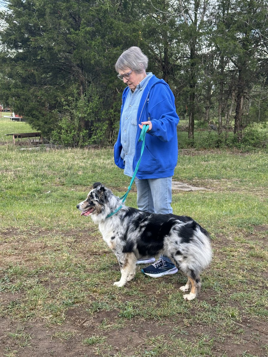 The Panic tweet media