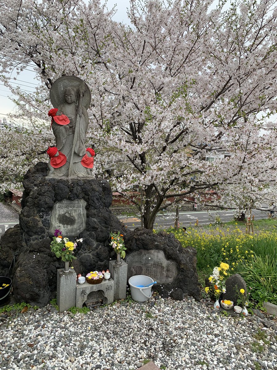 のも tweet media