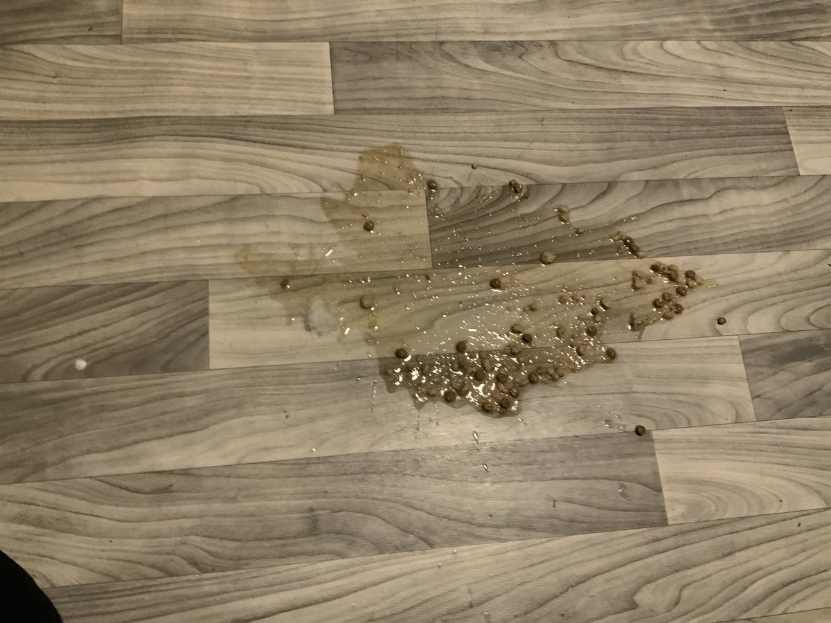 StyloIRL - “Content Creator” tweet media