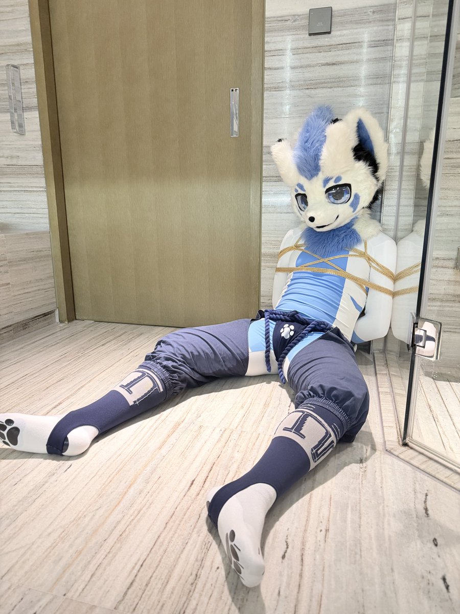 雲海 tweet media