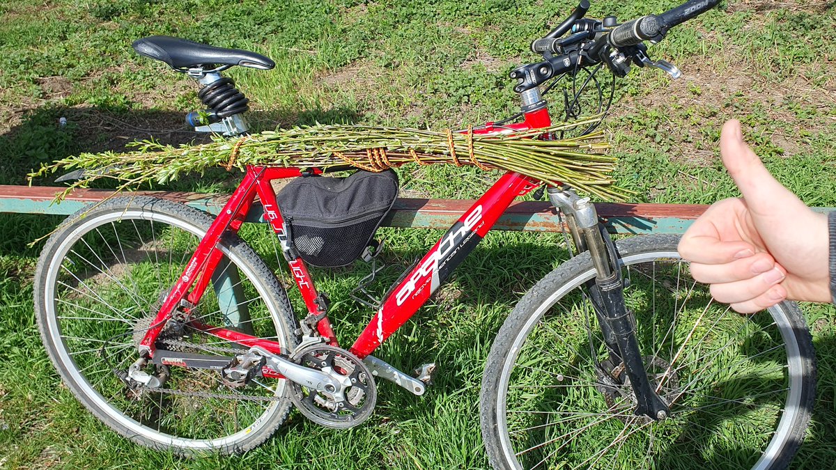 Jan Horešovský tweet media