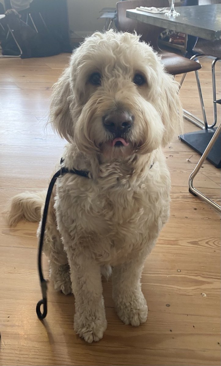 Horace The Space Cowboy tweet media