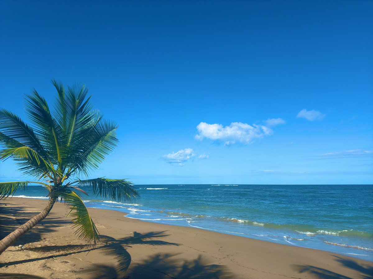 ℙremium ℂollector | SCHD tweet media