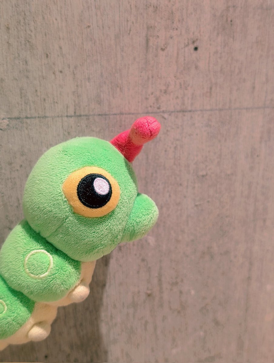 にょきにょきキャタピー tweet media