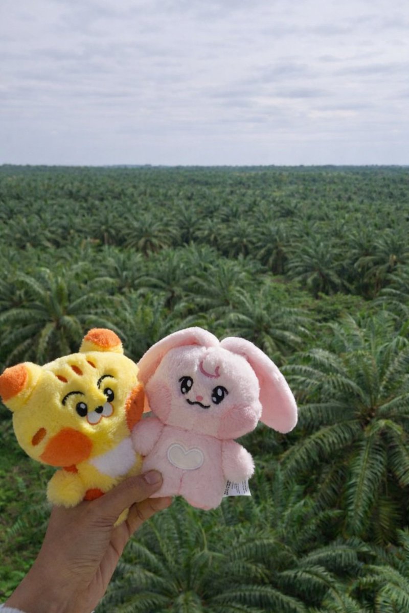 Queen_♛ tweet media