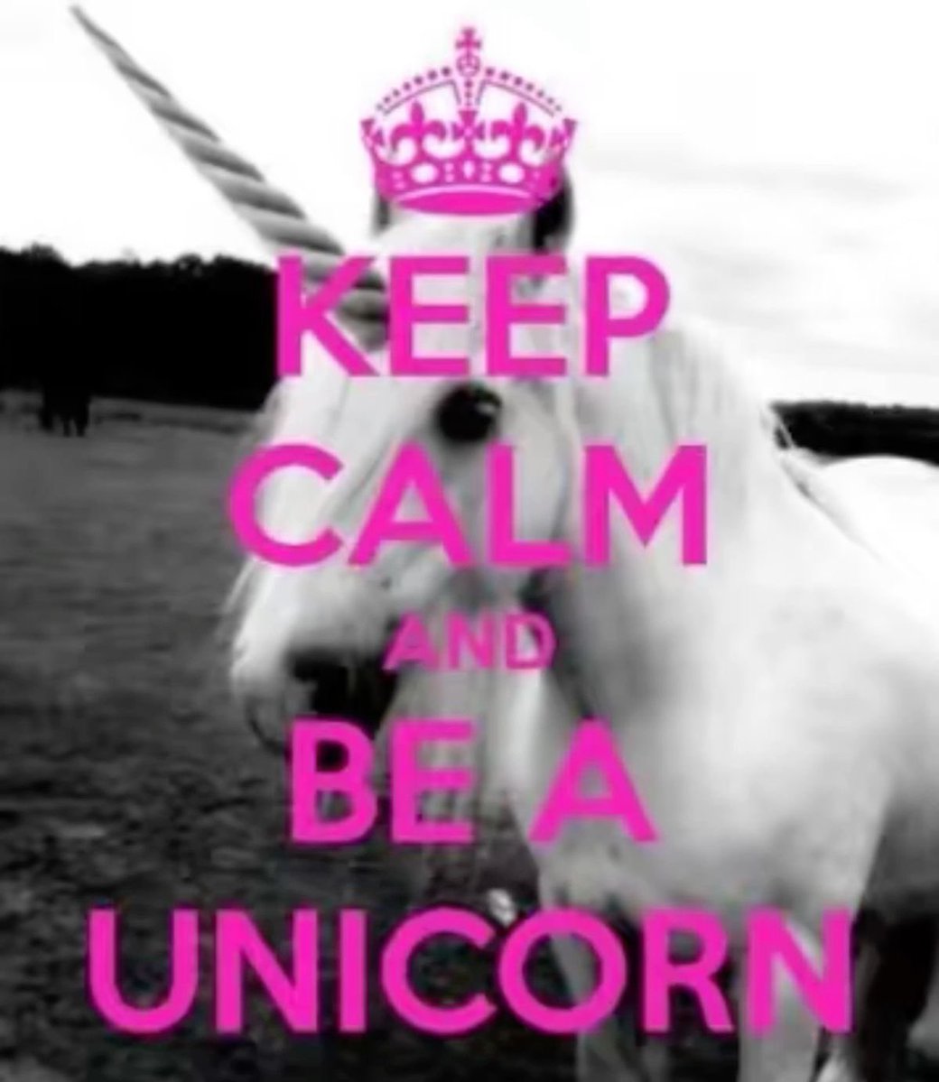 🐚🫧🦄 tweet media