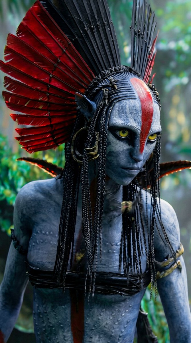 koreanoli tweet media