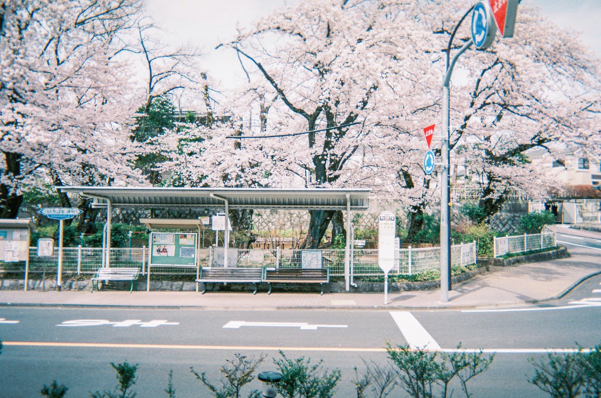 もなみん tweet media