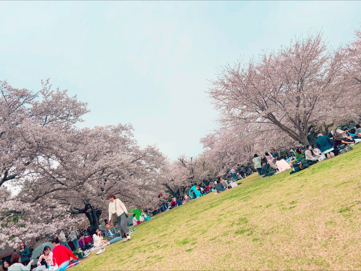 achan🌼⋆* tweet media