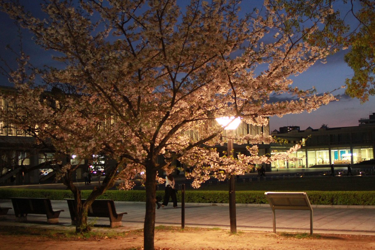 空我(くうが) tweet media