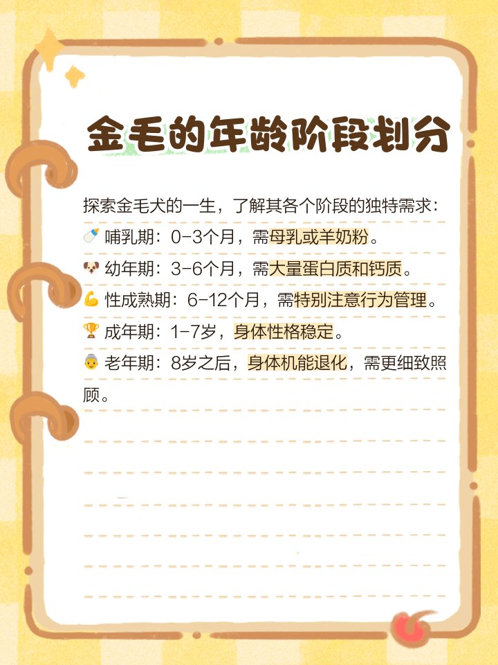 chris joe tweet media