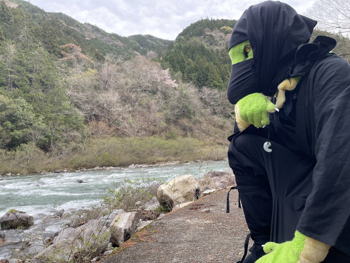 イクス🐍 tweet media