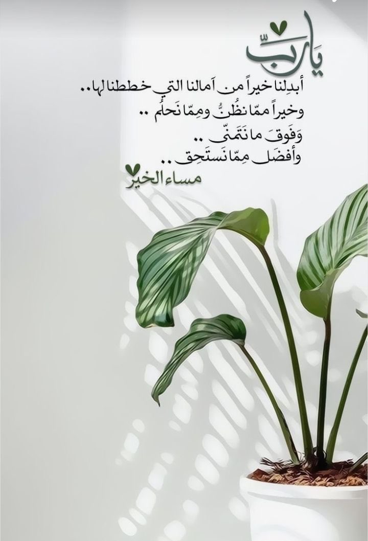 حمد الشحي tweet media
