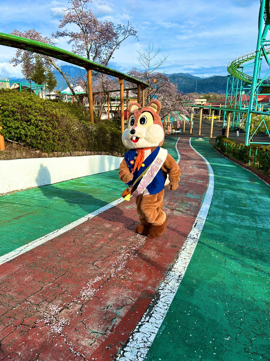 masako💚珍獣妖精 tweet media