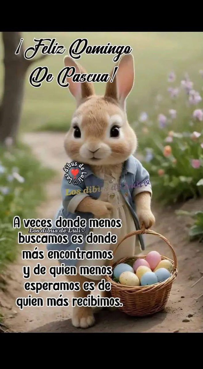 Sergio🇦🇷 tweet media