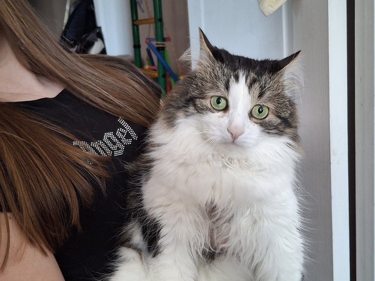 物の哀れ tweet media