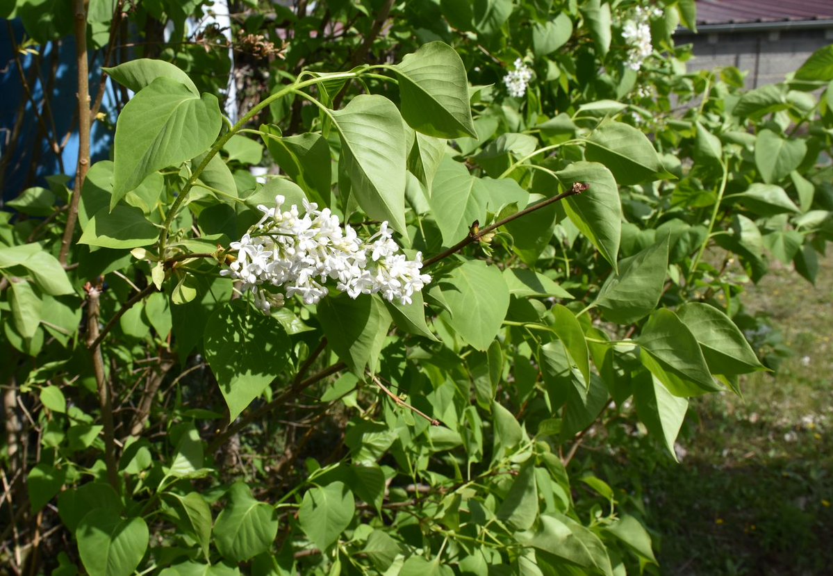 Daniel PAQUET tweet media