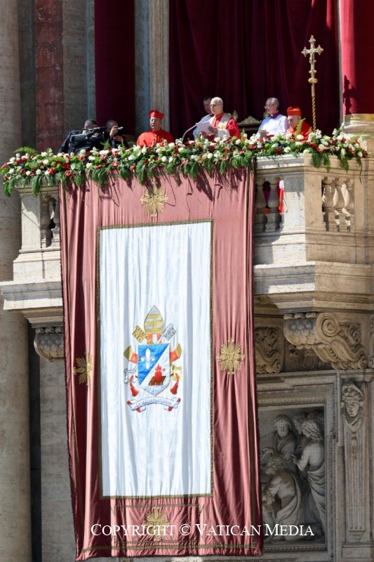 dioctexcoco tweet media