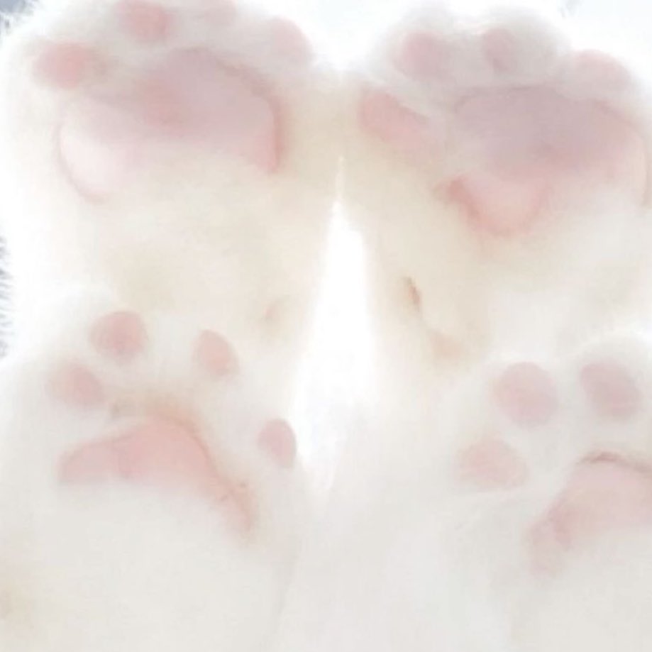 ݁ ˖Ი𐑼⋆ 𝚙𝚎𝚊𝚌𝚑𝚢 .ᐟ tweet media