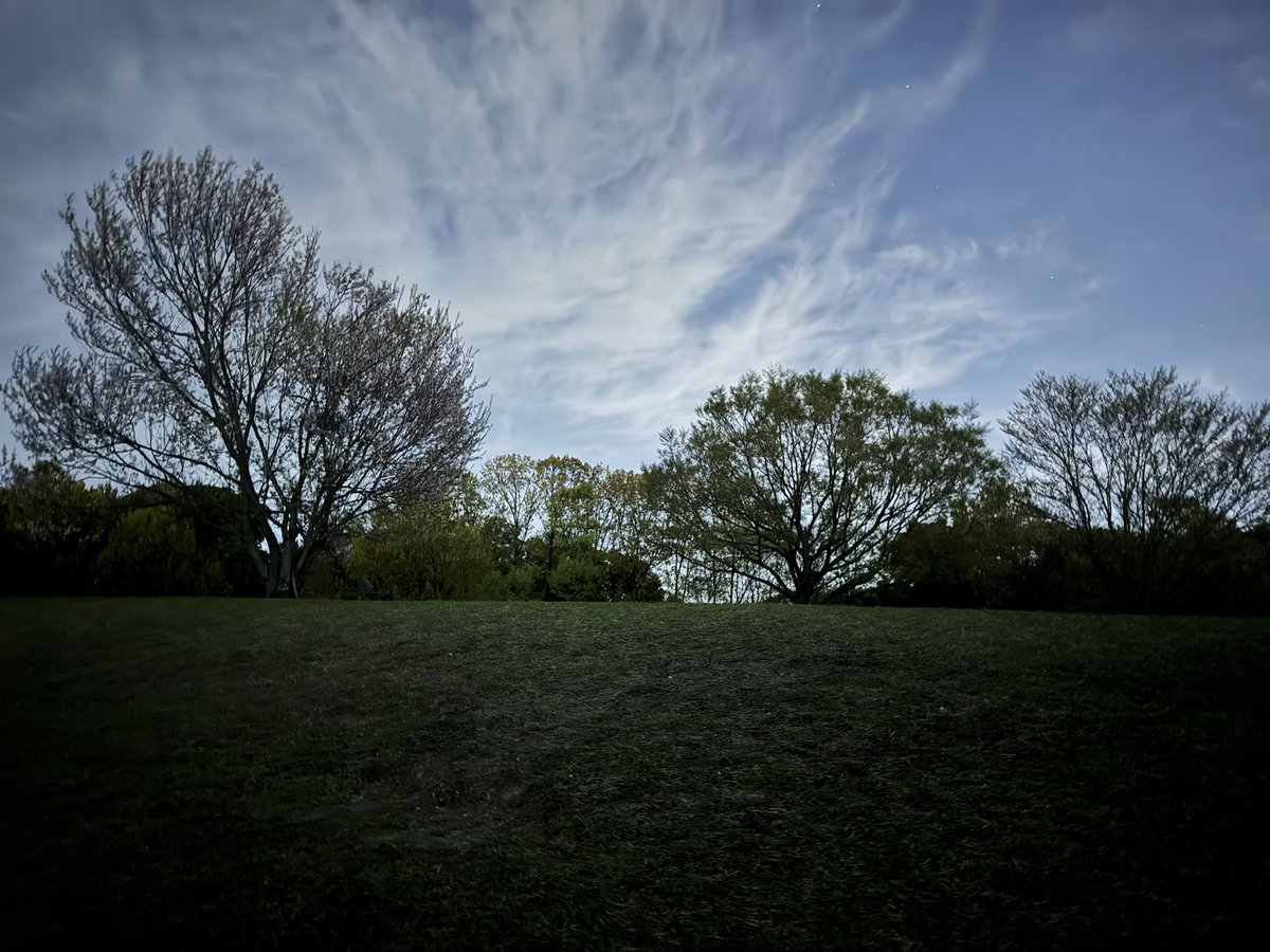 🍻たぬ吉🍻 tweet media