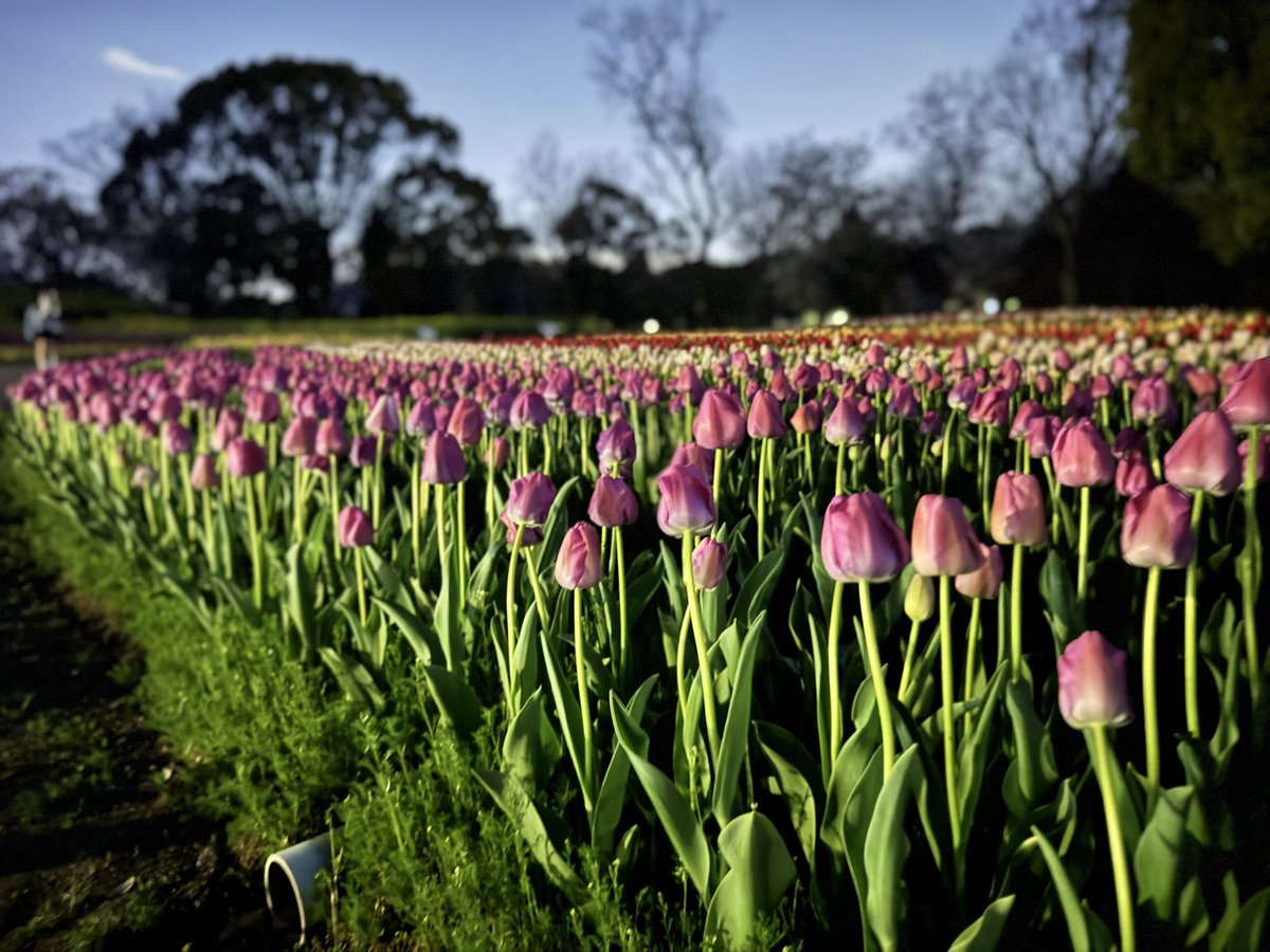 🍻たぬ吉🍻 tweet media