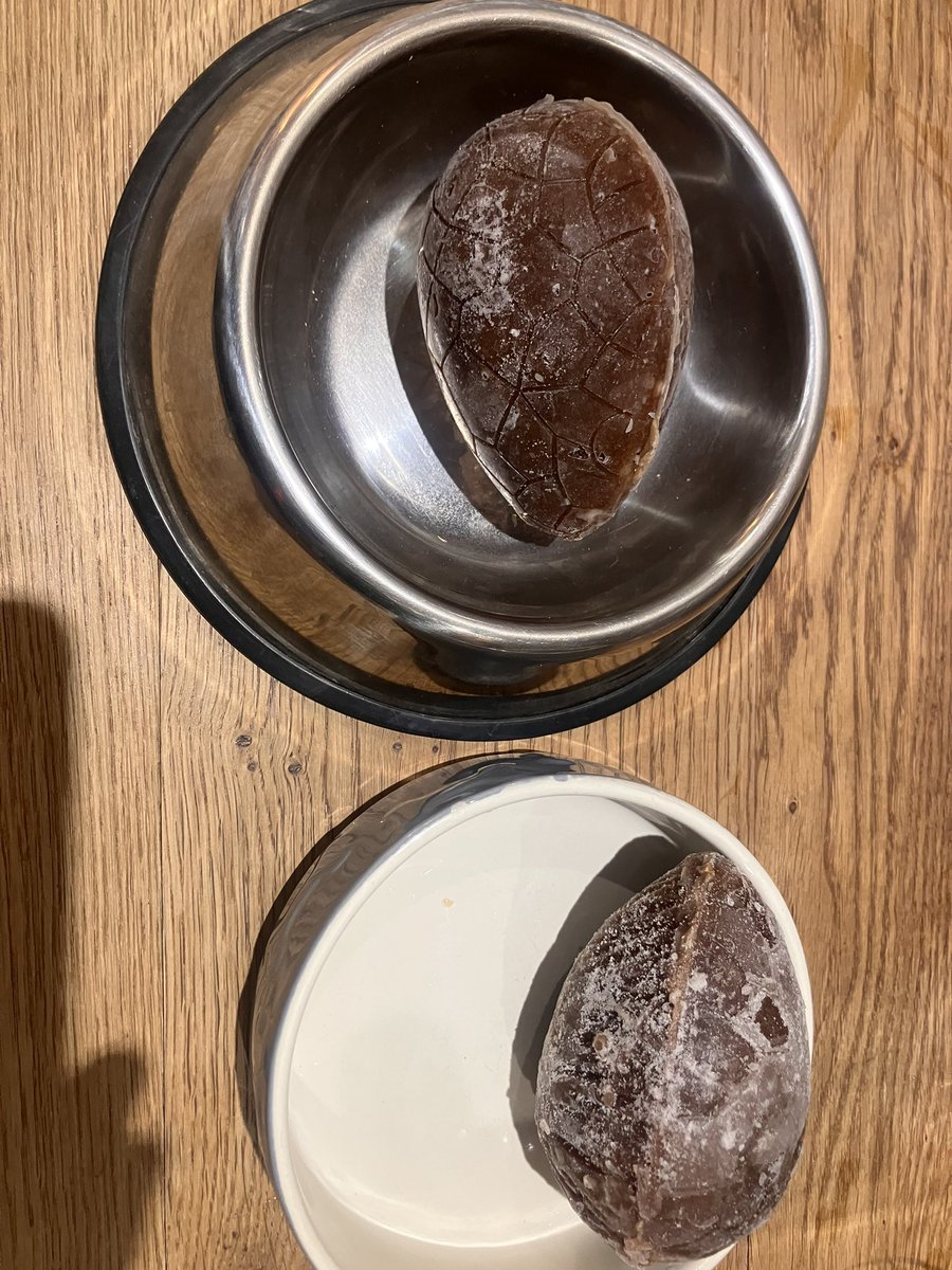 Eli & PiperSprocks Anipals tweet media