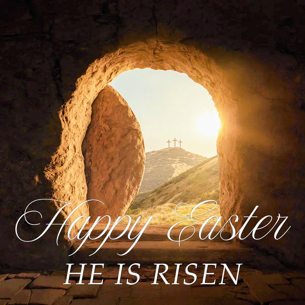 Debbie Lesko tweet media