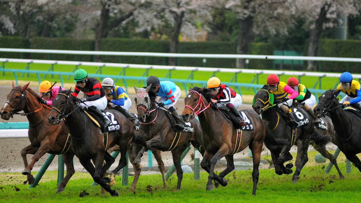 the-allow【放牧】　想定→中山GJ tweet media