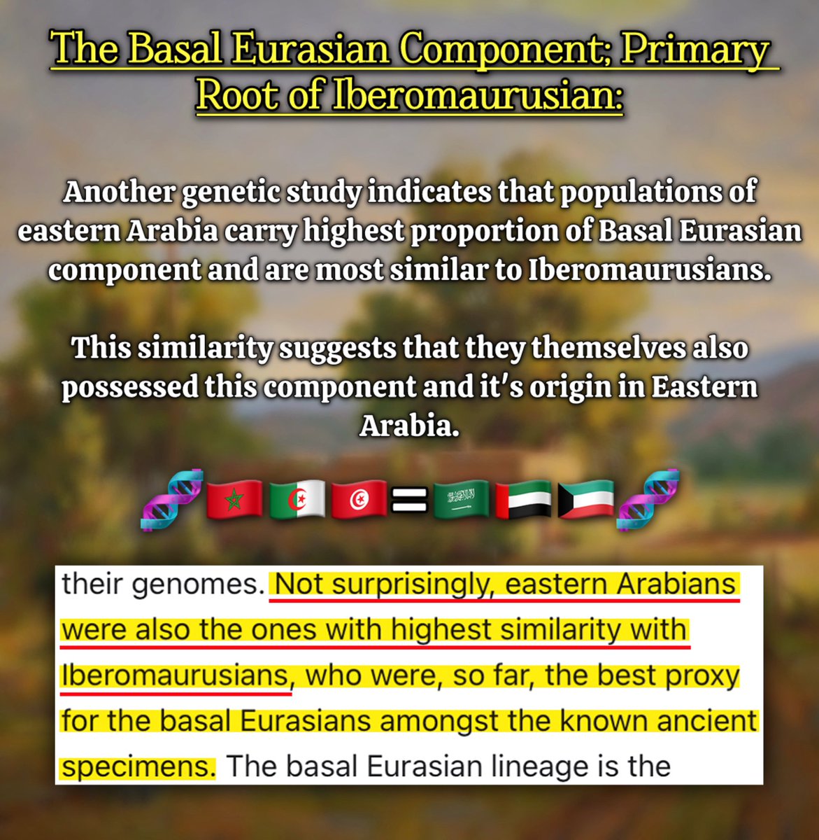 الإدريسيُ 🇲🇦 tweet media