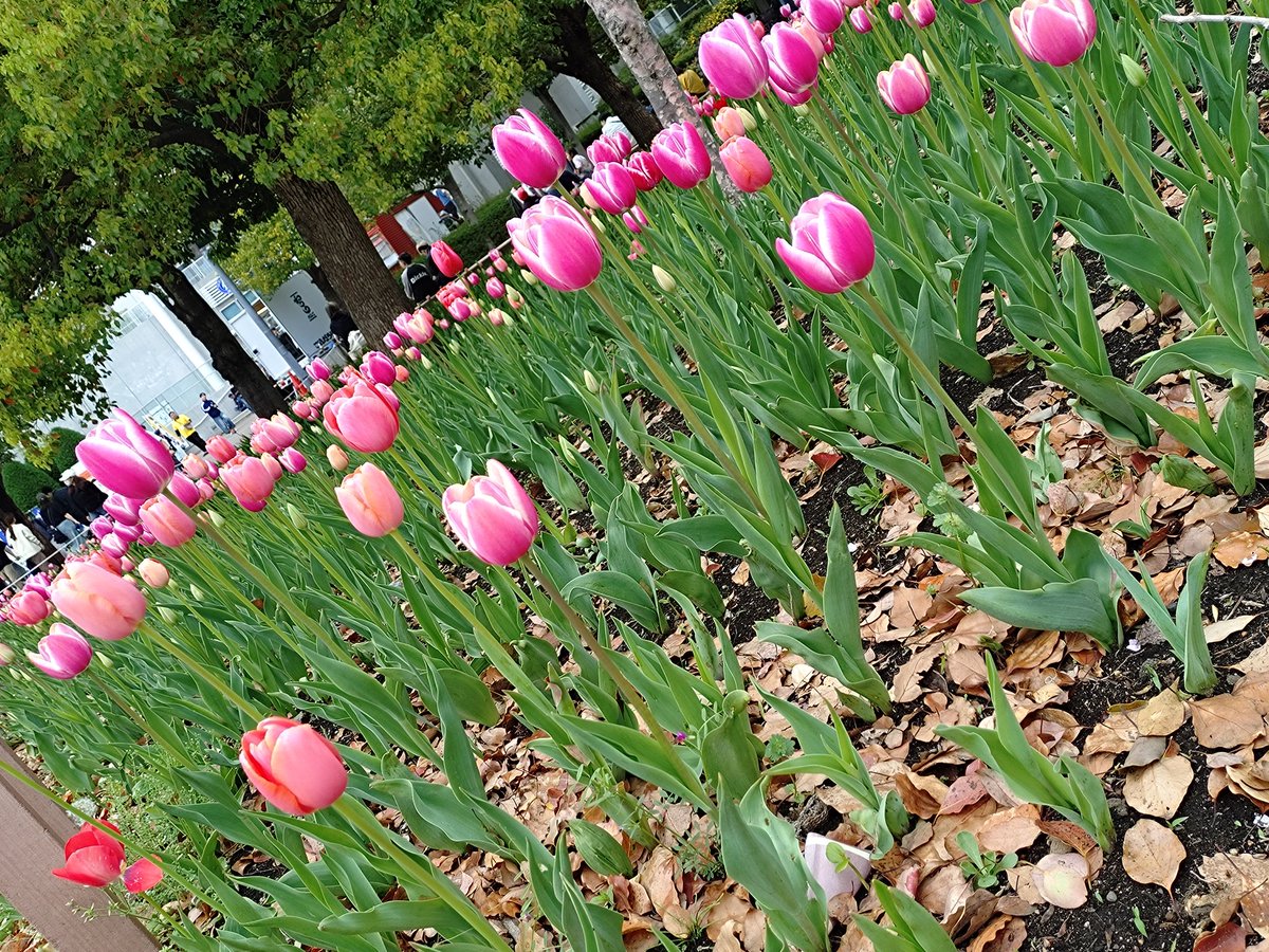 Masaё［maako.］ tweet media