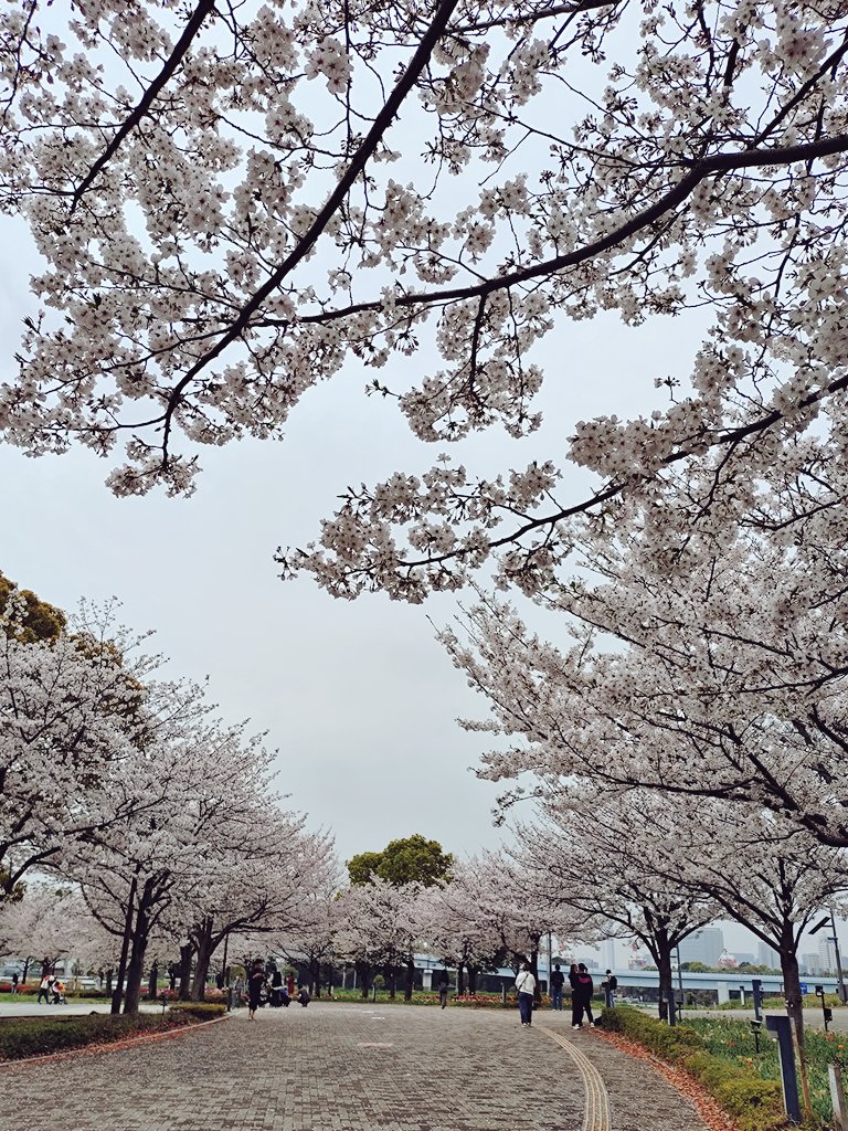 Masaё［maako.］ tweet media