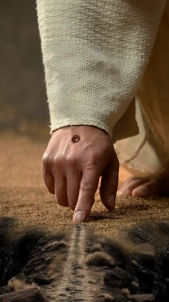 AUGUSTO ® tweet media