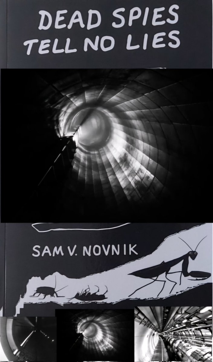 Samuel Novnik tweet media