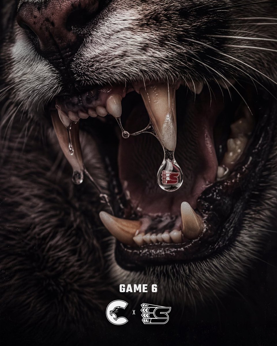 Prince George Cougars tweet media