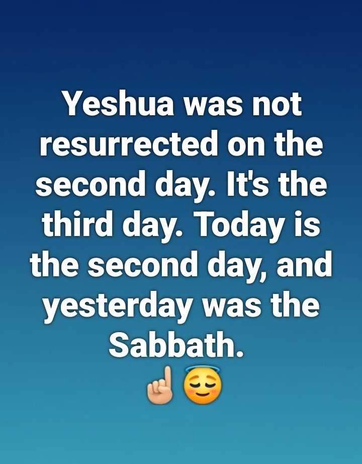 deerhunter2025108.0 tweet media