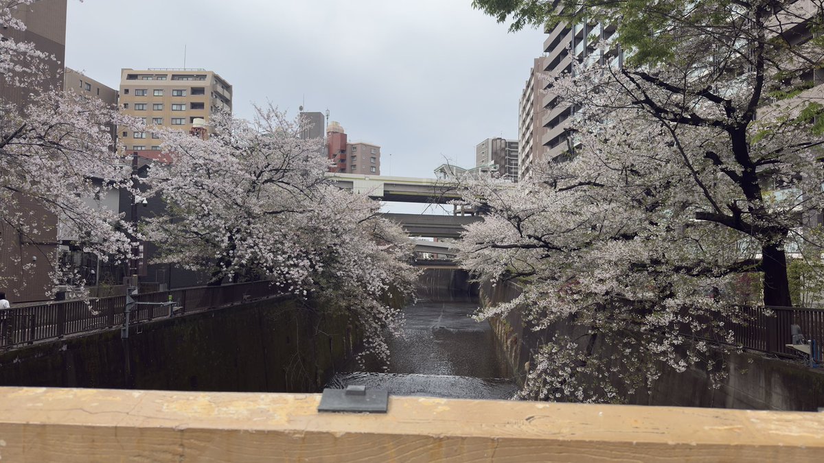 finalquest tweet media