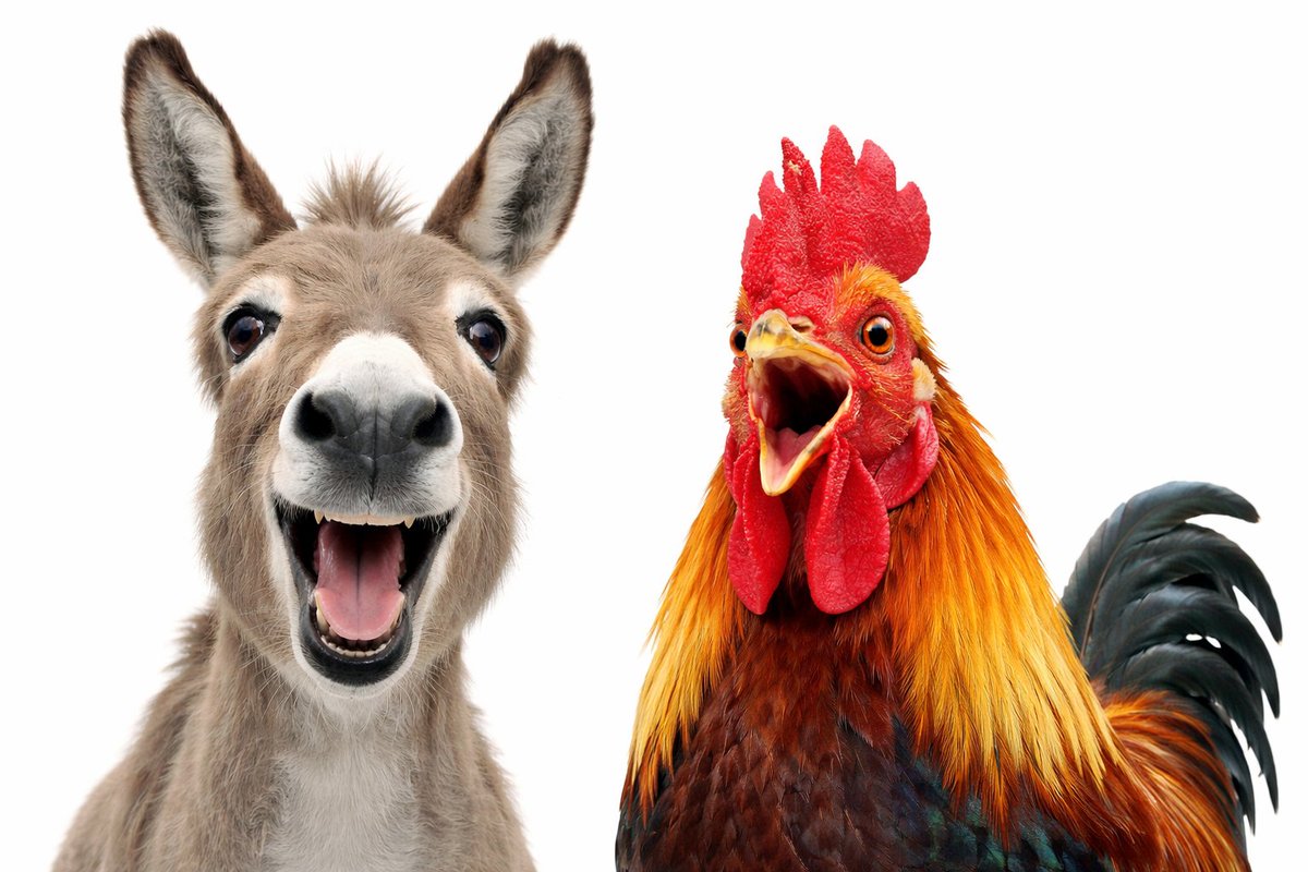 Juergen Maier tweet media