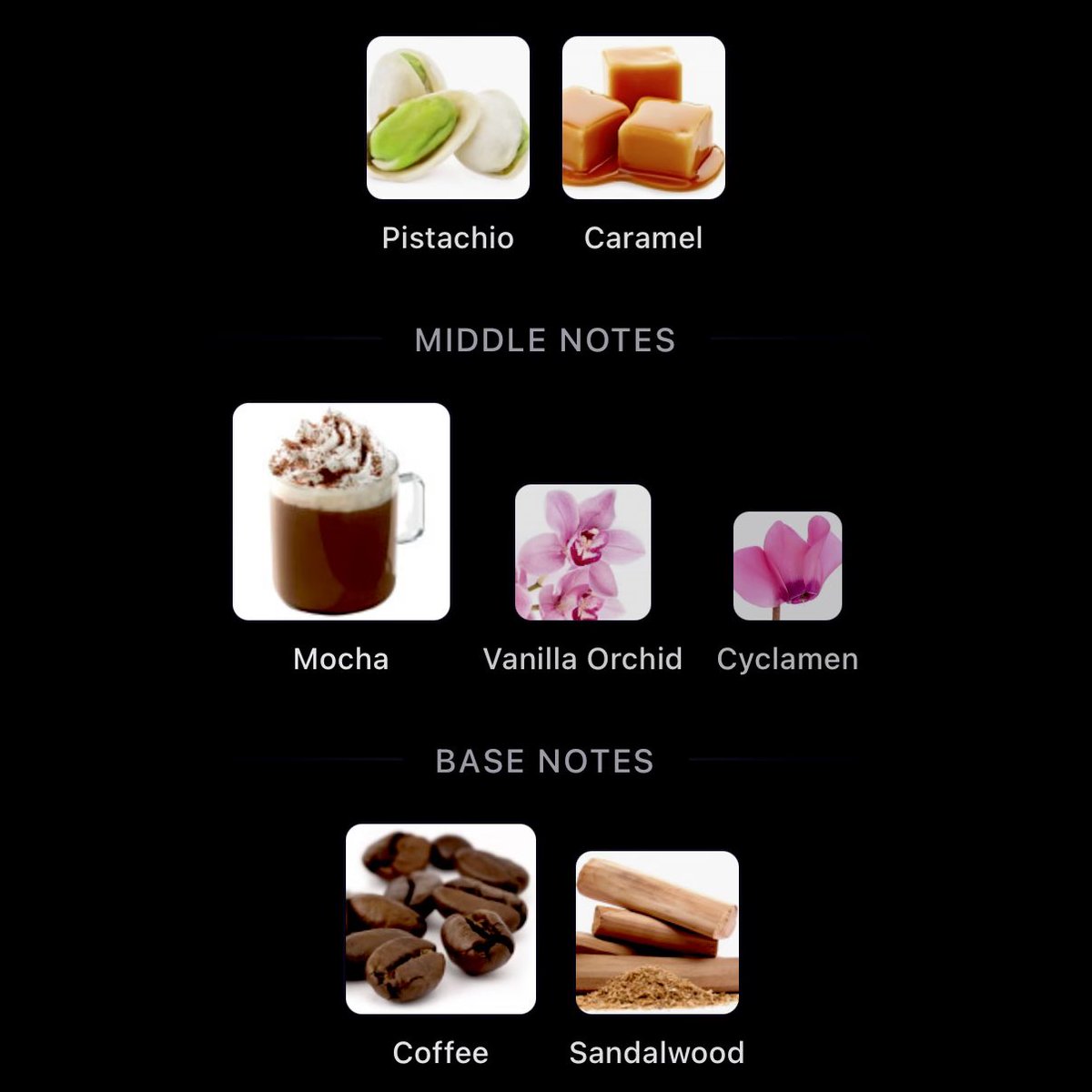 salem ☥ tweet media