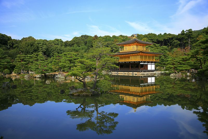 Ellis Sabini tweet media