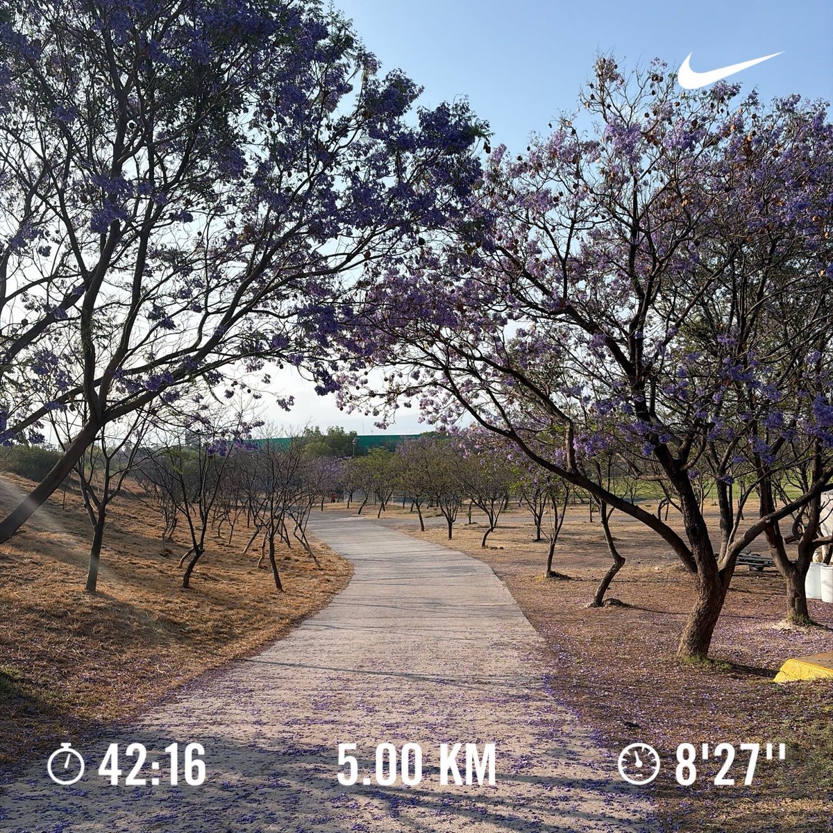 AdaBeGonzalez's tweet photo. 10/100 🌊
19 grados centígrados. 
8:15 am https://t.co/oSzPILuuLX