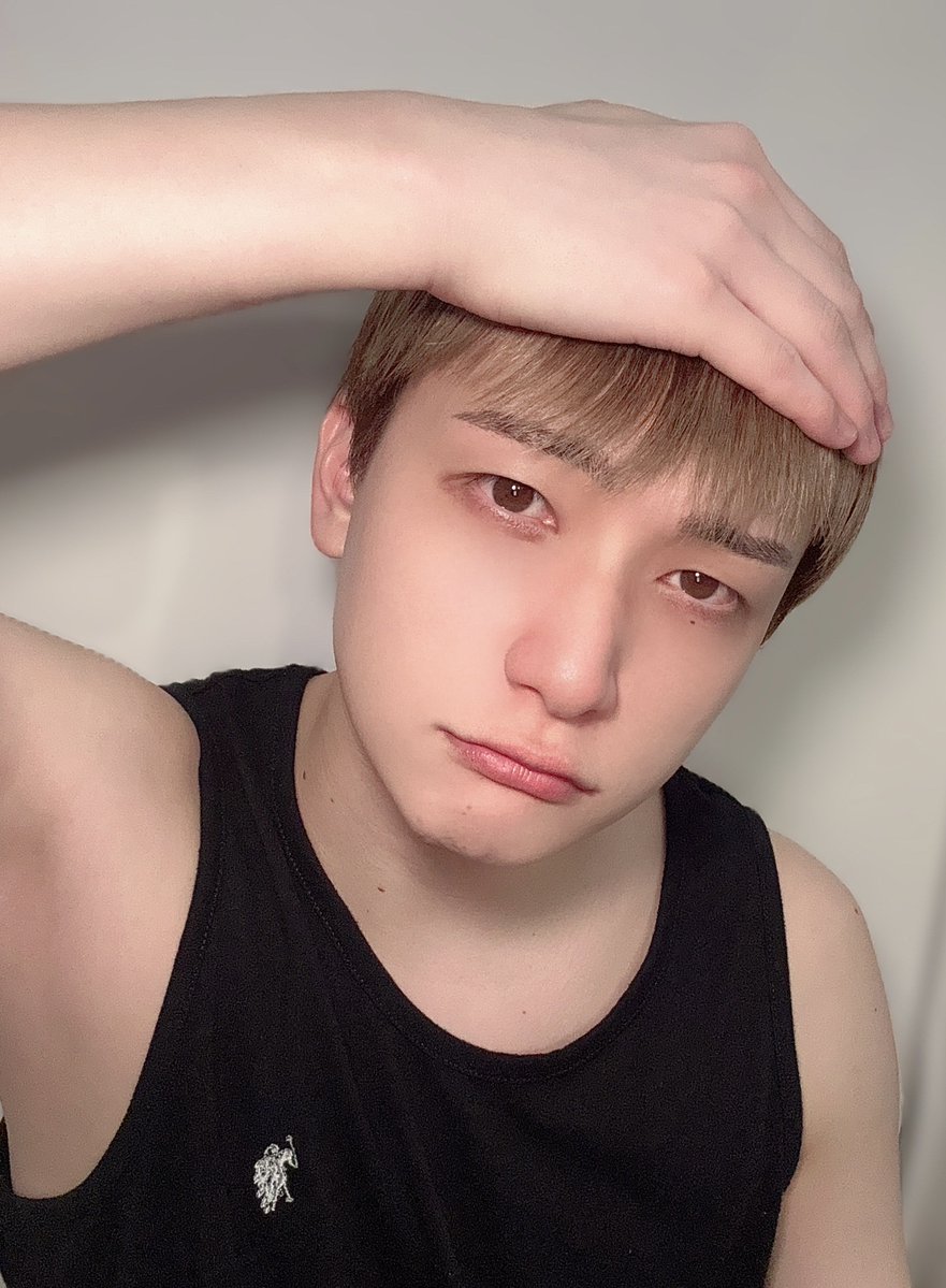 ようた@パンダドラゴン🐼🐲 tweet media